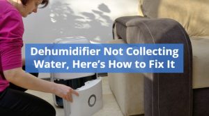 Dehumidifier Not Collecting Water, Here’s How to Fix It - PICKHVAC