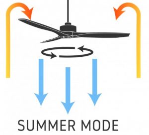 Ceiling Fan Direction in Summer and Winter: Switch Up or Down?