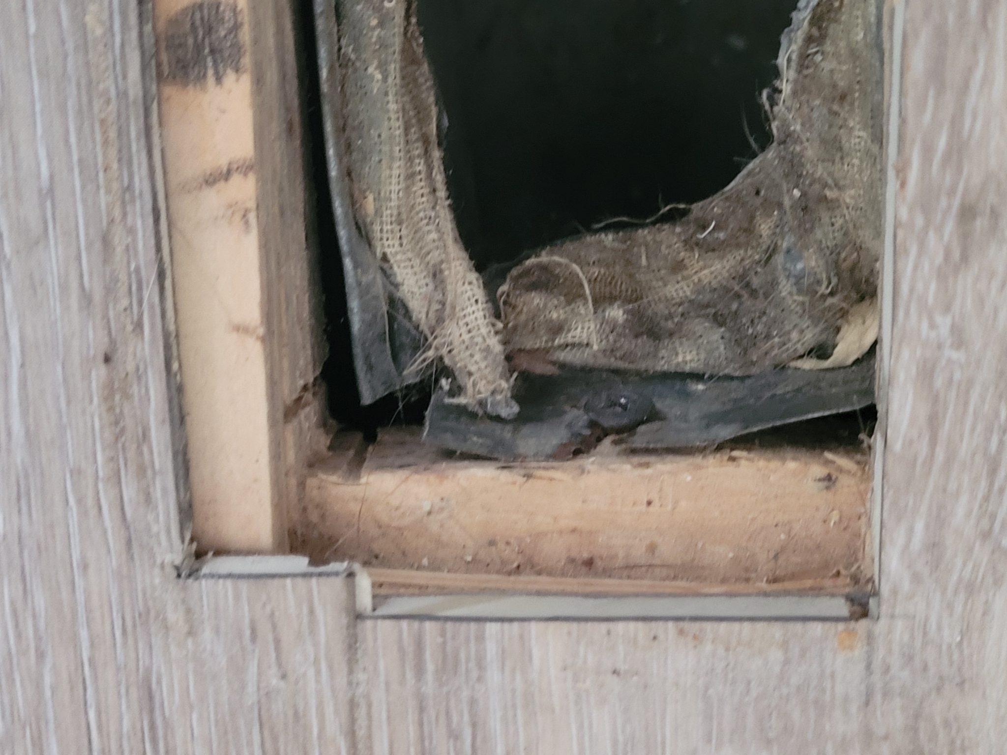 Water in Air Ducts Causes, Prevention and Removal PICKHVAC