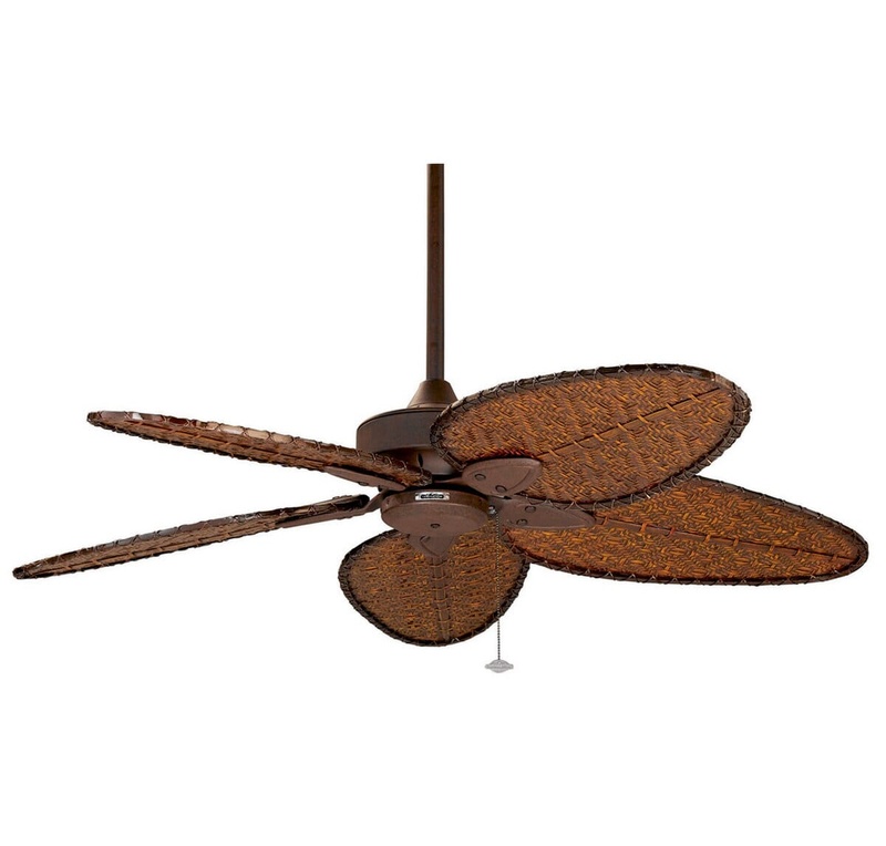 Fanimation ceiling fans