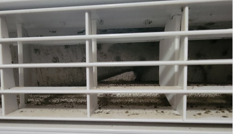 black mold air conditioner