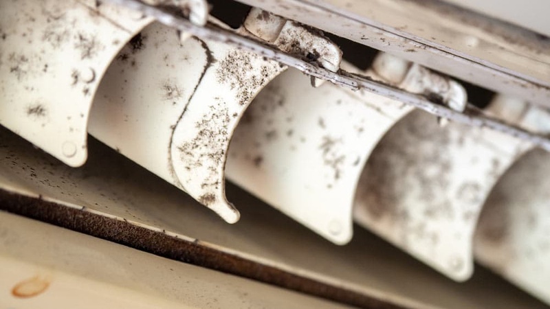 black mold inside air conditioner