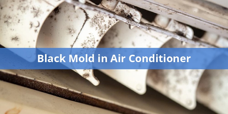 black-mold-in-air-conditioner
